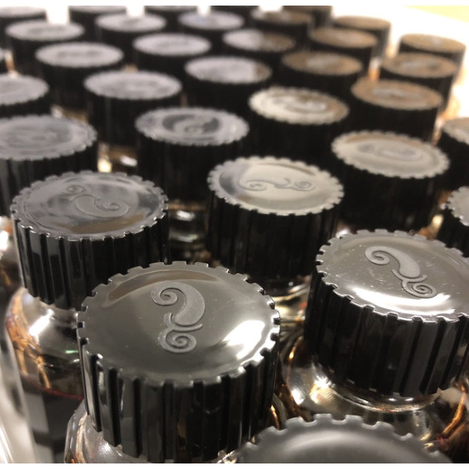 Color Traveler Enjoy Color Journey Fountain Pen Ink Samples (3mL)