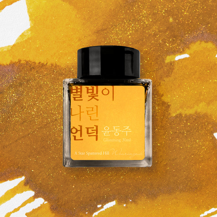 Wearingeul Korean Literature Fountain Pen Ink - A Star Spattered Hill - The Ink Shoppe Philippines