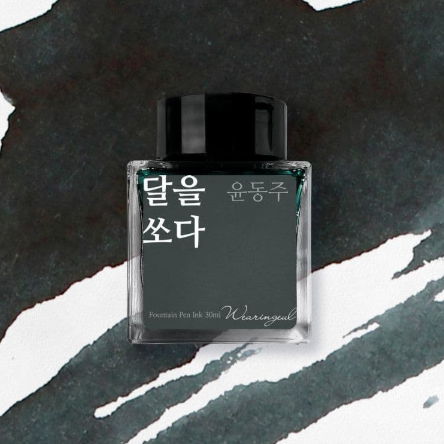 Wearingeul Korean Literature Fountain Pen Ink - Shoot the Moon - The Ink Shoppe Philippines