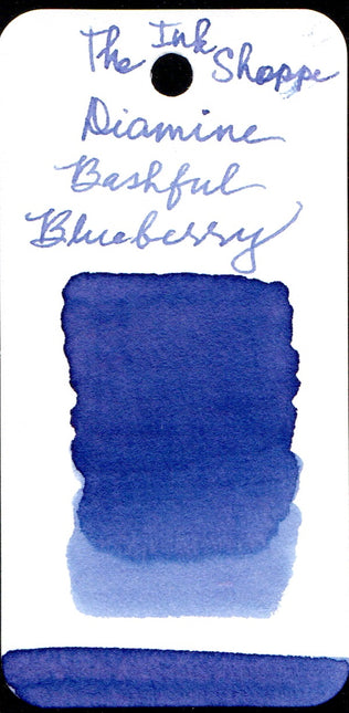 Diamine x Cult Pens Fountain Pen Ink - Bashful Blueberry