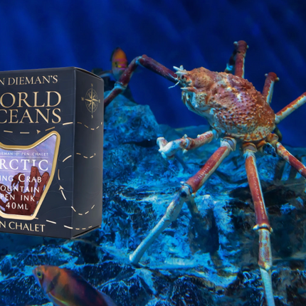 Van Dieman's World Oceans Fountain Pen Ink Sample (3mL)