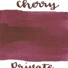 Private Reserve Fountain Pen Ink Samples (3mL)