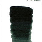 Troublemaker Fountain Pen Ink Full Bottle (60mL)