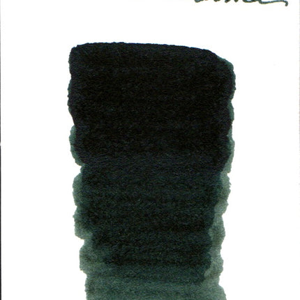 Troublemaker Fountain Pen Ink Full Bottle (60mL)