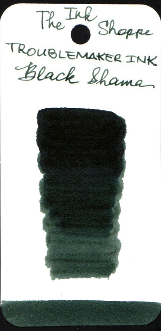 Troublemaker Fountain Pen Ink Full Bottle (60mL)