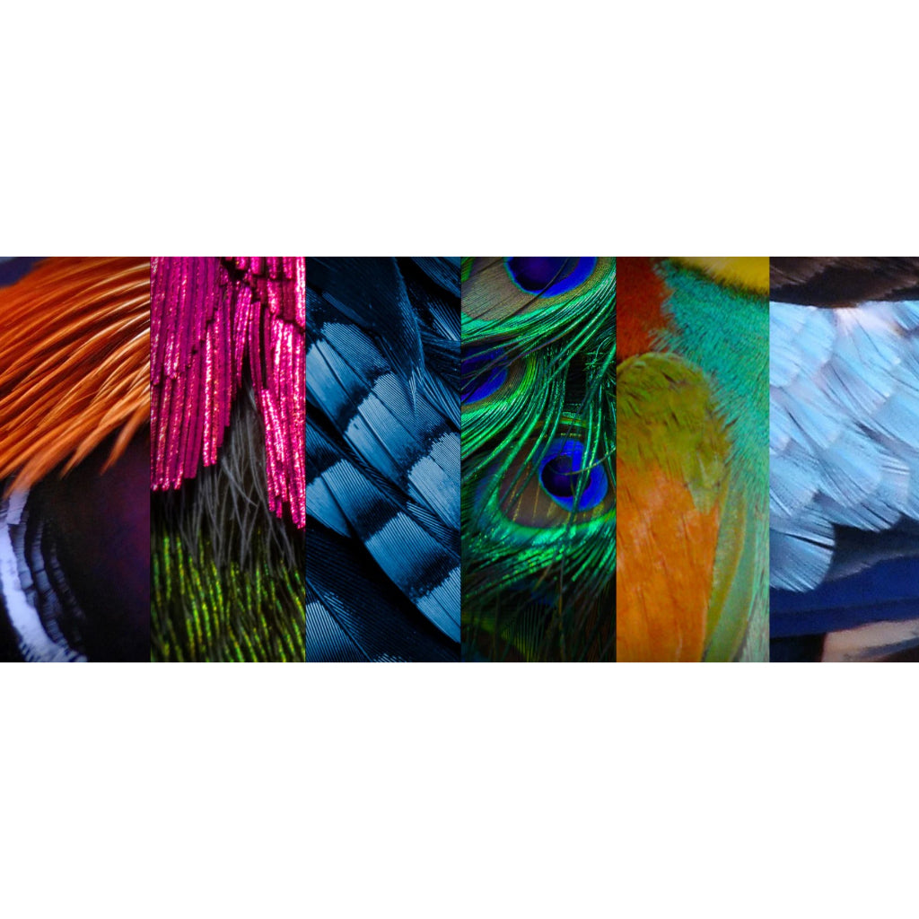 Van Dieman's Birds of a Feather Fountain Pen Ink Sample (3mL)