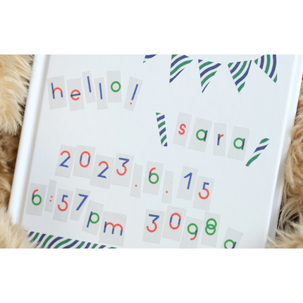 MT x Papier Tigre Washi Tape FULL ROLL