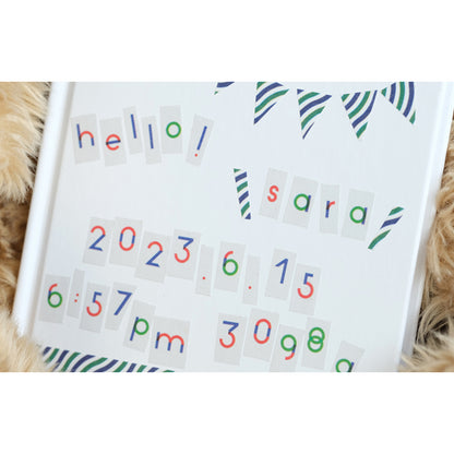 MT x Papier Tigre Washi Tape FULL ROLL