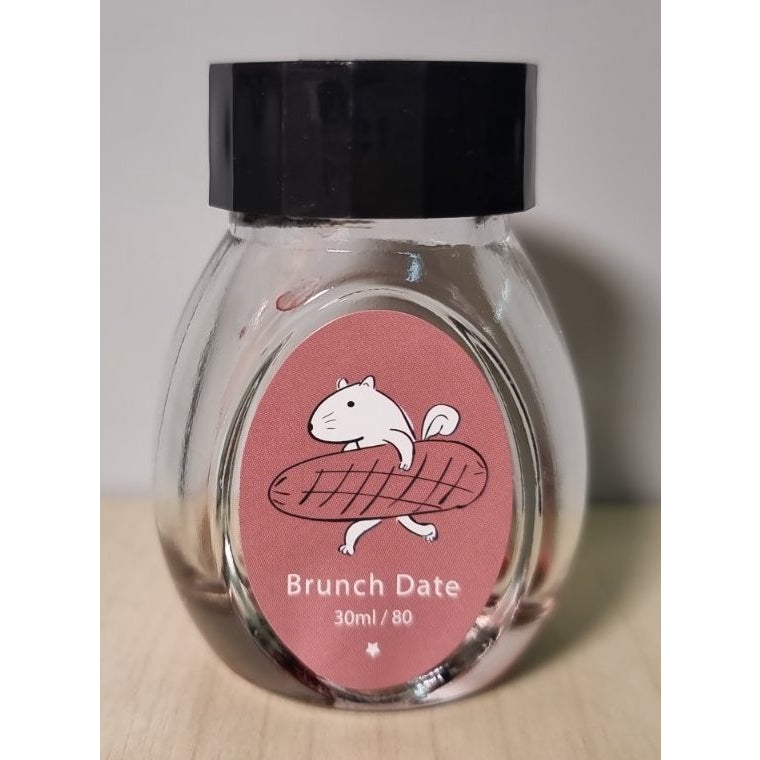 Colorverse Fountain Pen Ink EMPTY Bottle