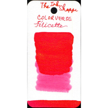 Colorverse Fountain Pen Ink Samples (3mL)
