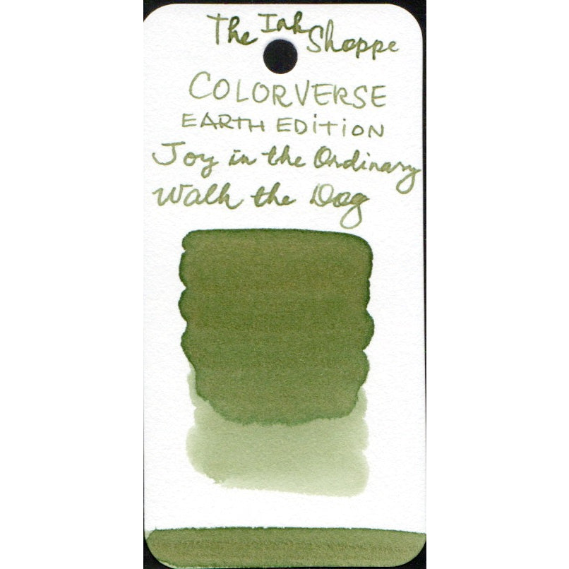 Colorverse Fountain Pen Ink Samples (3mL)