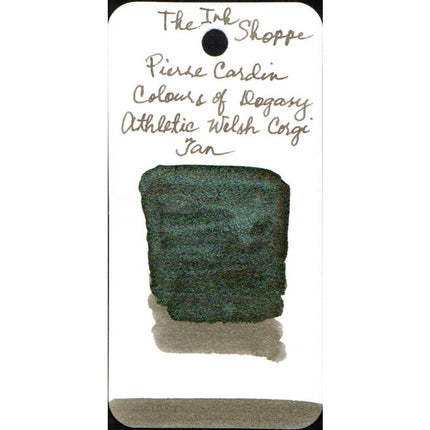 Pierre Cardin Writing Instruments Dogasy Fountain Pen Ink Sample (3mL)