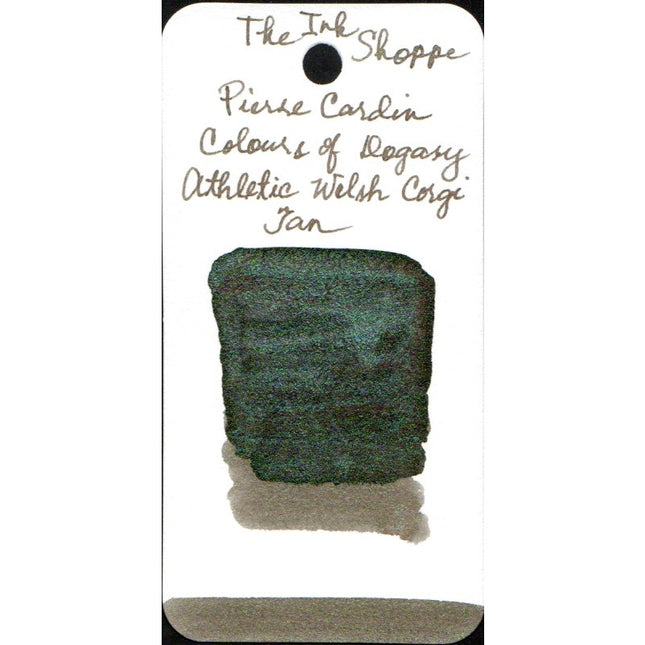 Pierre Cardin Writing Instruments Dogasy Fountain Pen Ink Sample (3mL)