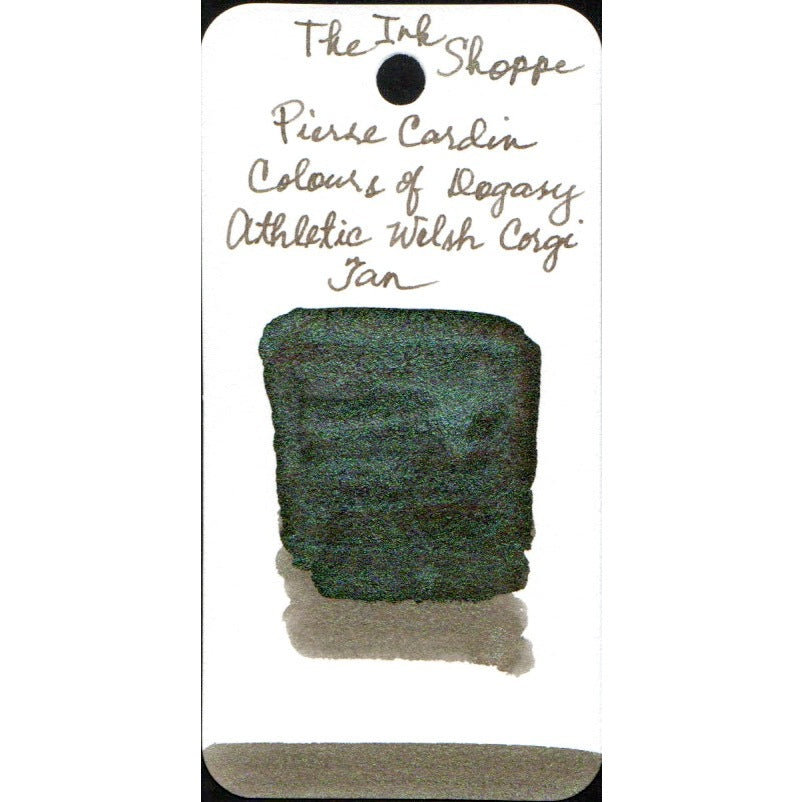 Pierre Cardin Writing Instruments Dogasy Fountain Pen Ink Sample (3mL)