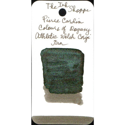 Pierre Cardin Writing Instruments Dogasy Fountain Pen Ink Sample (3mL)