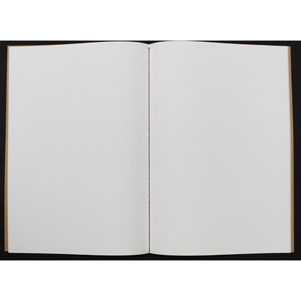 New Tomoe River FP Notebook 64 pages