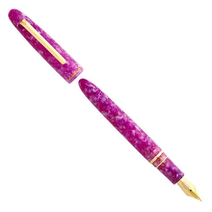Esterbrook Estie Punch Fountain Pen Limited Edition Fine Nib