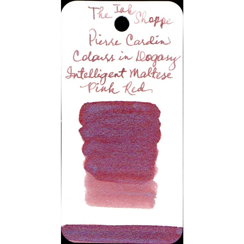 Pierre Cardin Writing Instruments Dogasy Fountain Pen Ink Sample (3mL)