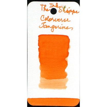 Colorverse Fountain Pen Ink Samples (3mL)