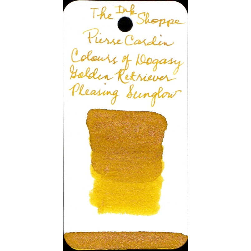 Pierre Cardin Writing Instruments Dogasy Fountain Pen Ink Sample (3mL)