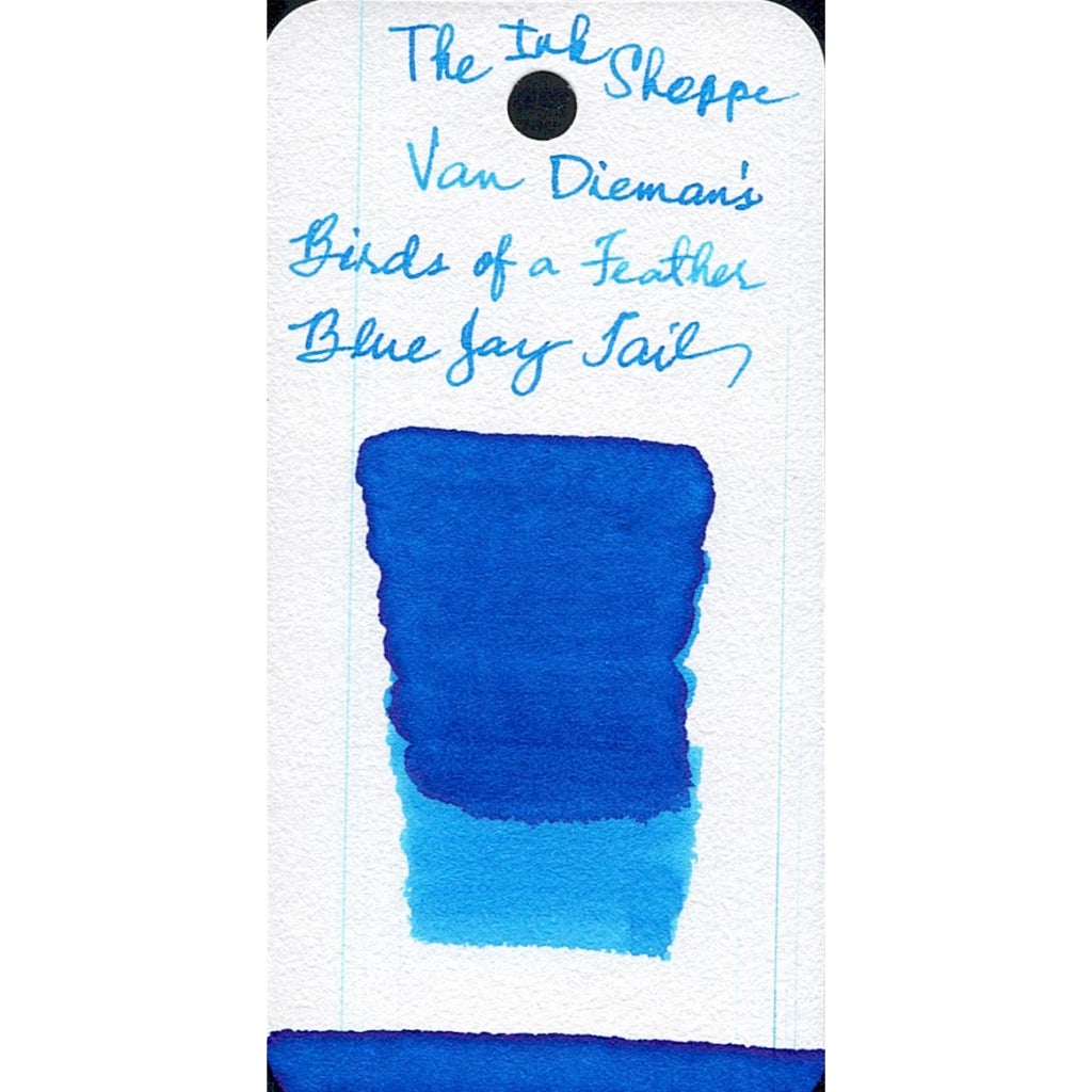 Van Dieman's Birds of a Feather Fountain Pen Ink Sample (3mL)