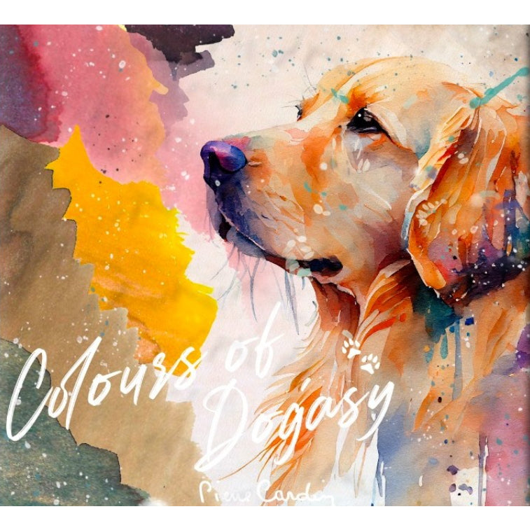 Pierre Cardin Writing Instruments Dogasy Fountain Pen Ink Sample (3mL)