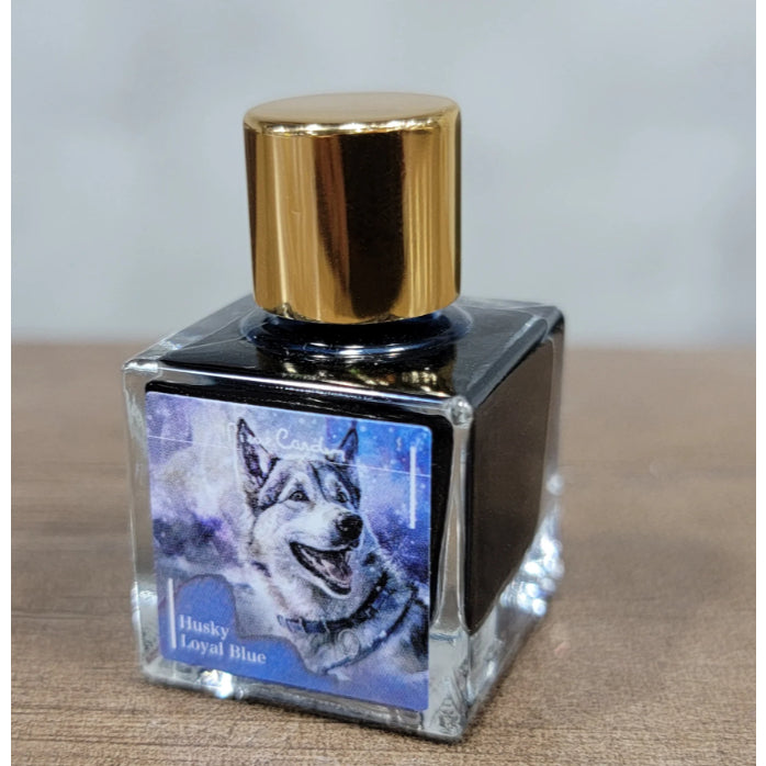 Pierre Cardin Writing Instruments Dogasy Fountain Pen Ink Sample (3mL)