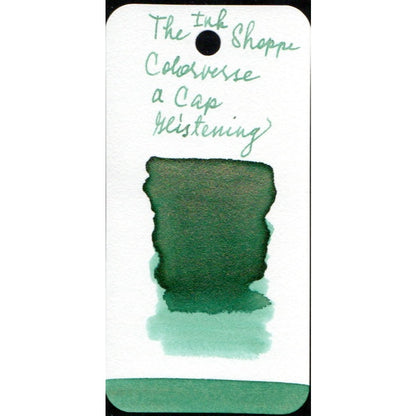 Colorverse Fountain Pen Ink Samples (3mL)