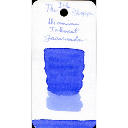 Diamine Inkvent 2023 Purple Edition Fountain Pen Ink Sample (3mL)