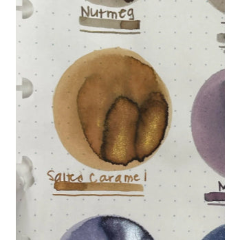 Diamine Inkvent 2024 Black Edition Fountain Pen Ink Sample (3mL)