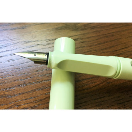 Lamy Safari Mint Glaze Fountain Pen Extra Fine Nib (EF)