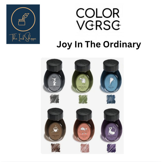 Colorverse Joy in the Ordinary FULL BOTTLE 30ml fountain Pen Ink
