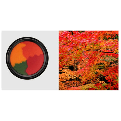 Shachihata "My Color" Limited Edition Ink Pad