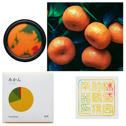 Shachihata "My Color" Limited Edition Ink Pad