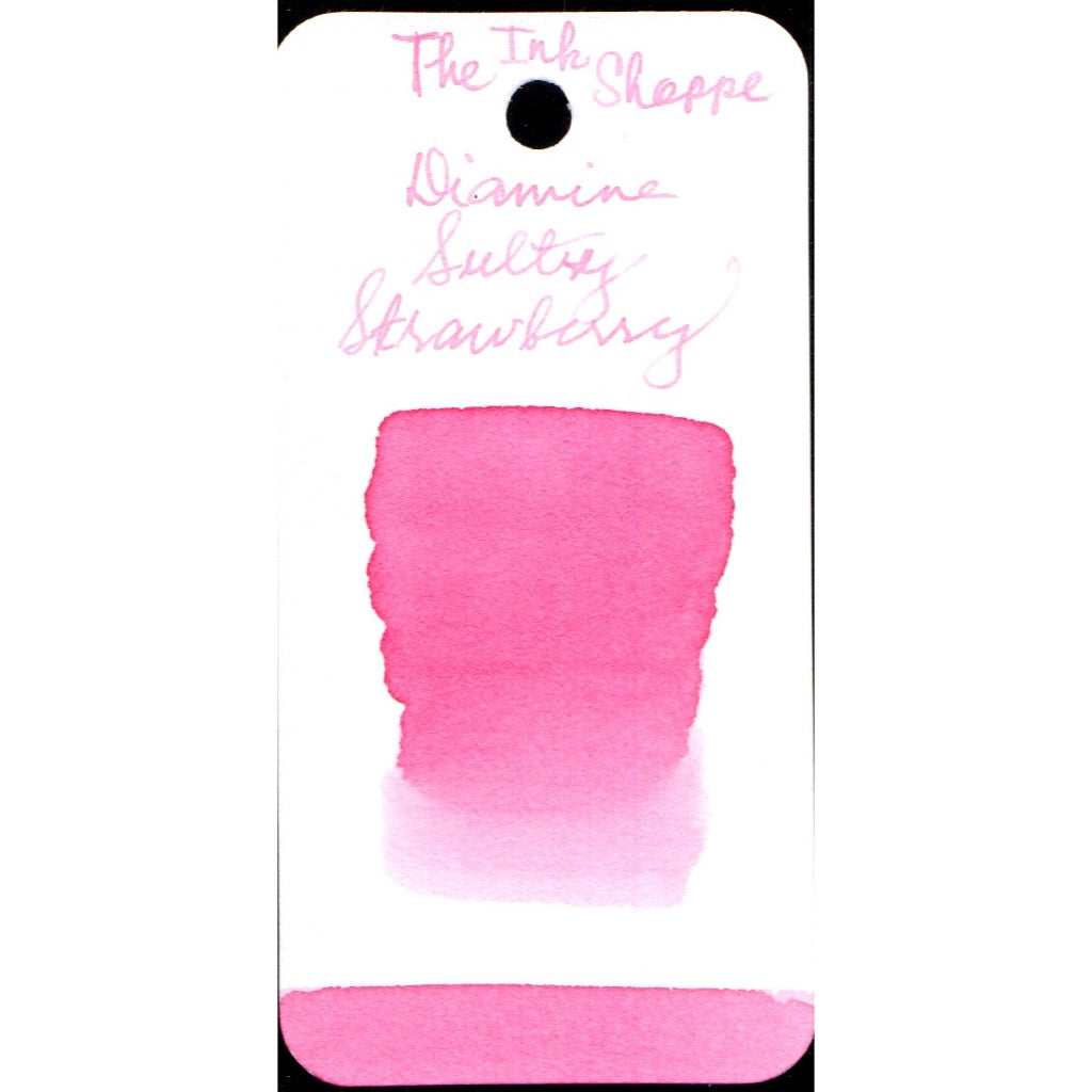 Diamine Fountain Pen Ink Sample (3mL)