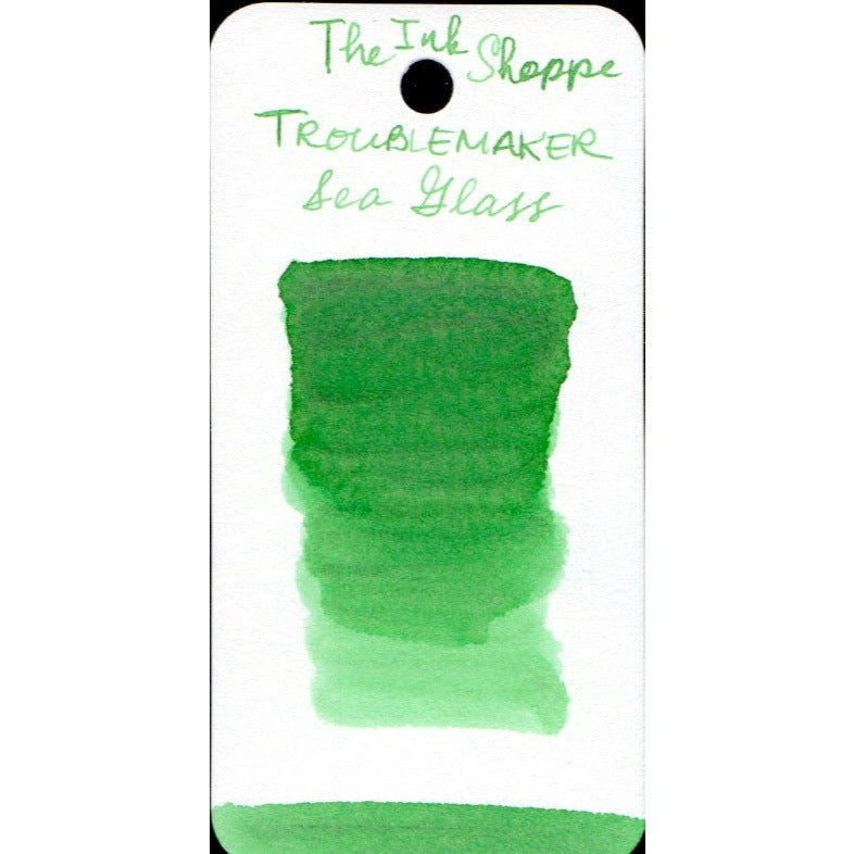 Troublemaker Inks FULL BOTTLE Fountain Pen Ink 60 ml