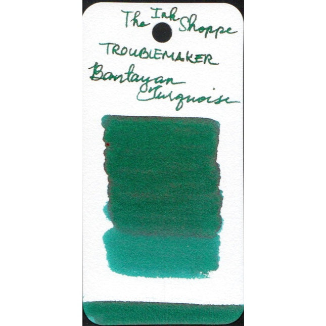 Troublemaker Fountain Pen Ink Full Bottle (60mL)