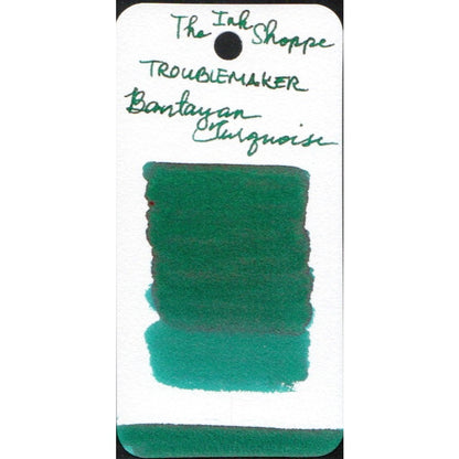 Troublemaker Inks FULL BOTTLE Fountain Pen Ink 60 ml