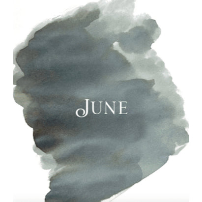 Van Dieman's Monthly Fountain Pen Ink Full Bottle (15mL)