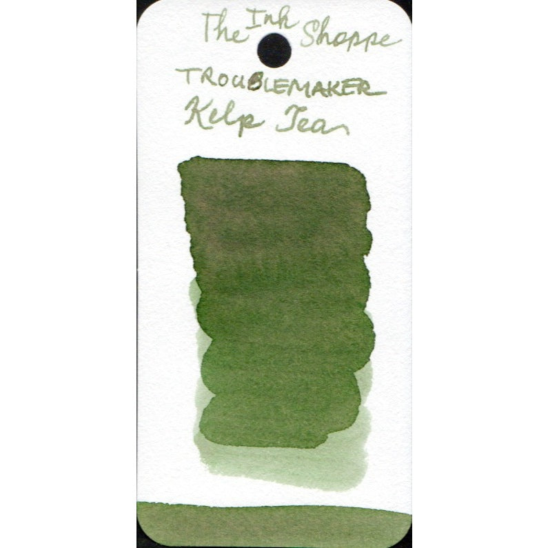 Troublemaker Inks FULL BOTTLE Fountain Pen Ink 60 ml