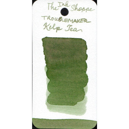 Troublemaker Inks FULL BOTTLE Fountain Pen Ink 60 ml