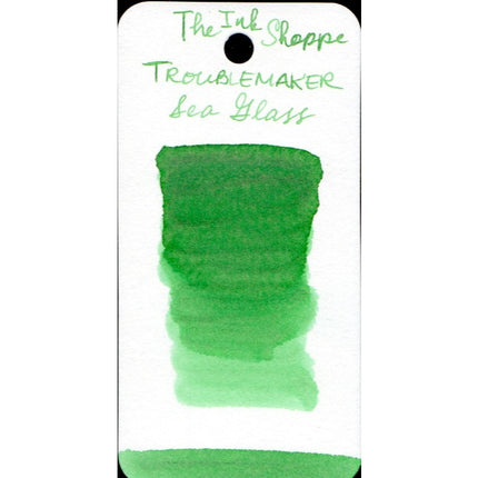 Troublemaker Fountain Pen Ink Full Bottle (60mL)