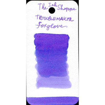 Troublemaker Fountain Pen Ink Full Bottle (60mL)