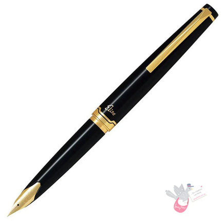 Pilot Elite E95S 14K Gold Nib Fountain Pen