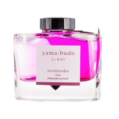 Pilot Iroshizuku Fountain Pen Ink EMPTY Bottle 50mL